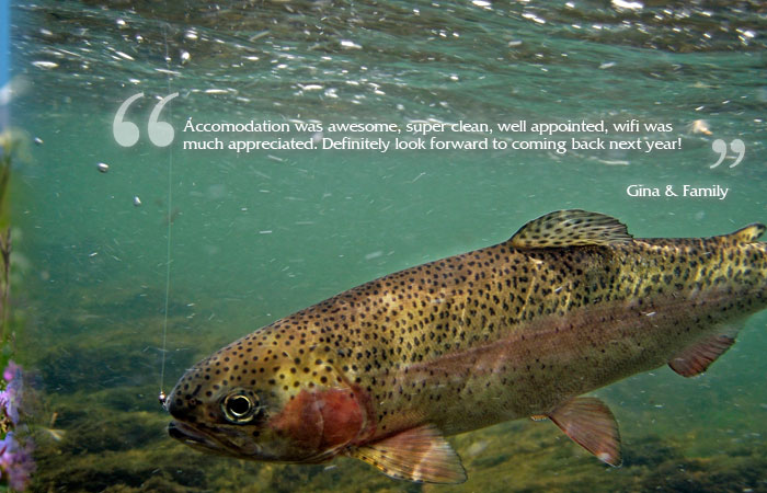 Fly fish at several locations within 15 minutes of Sun Peaks